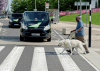 Brzmienie ciszy: Ford zaprasza niewidomych pieszych do testowania efektu dźwiękowego dla pojazdów elektrycznych