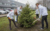 Skoda posadziła pół miliona drzew w Czechach