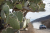Volkswagen w Meksyku: walka na najwyższych obrotach