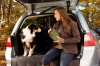 Jak bezpiecznie podróżować samochodem z psem – poradnik Volvo